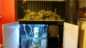 Aquario de agua salgada Redsea 425xl