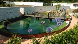 Lago - Condeixa