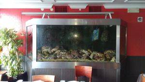 Marisqueira Lisboa